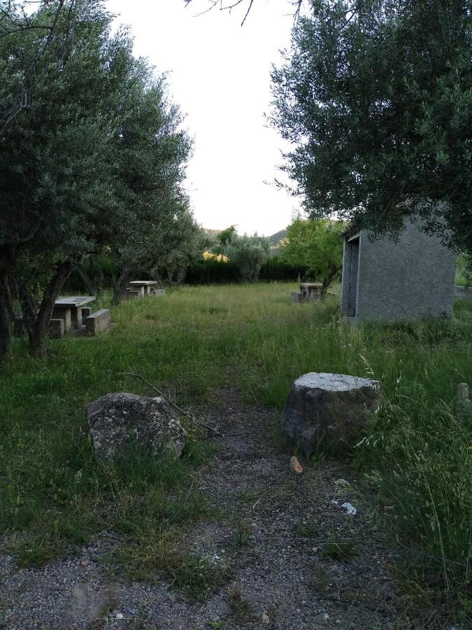 Pavies Casa De Amparo Y Jose Manuel旅馆 外观 照片