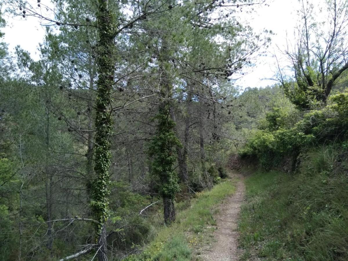 Pavies Casa De Amparo Y Jose Manuel旅馆 外观 照片