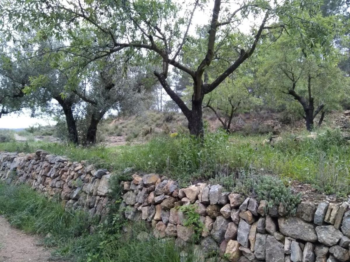Pavies Casa De Amparo Y Jose Manuel旅馆 外观 照片