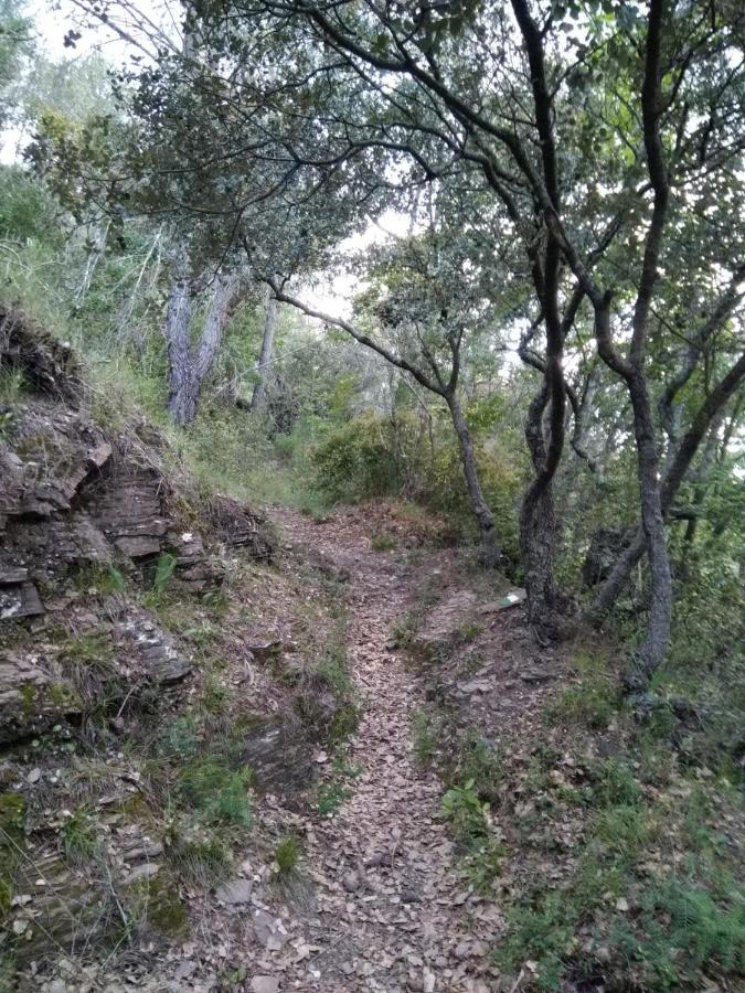 Pavies Casa De Amparo Y Jose Manuel旅馆 外观 照片