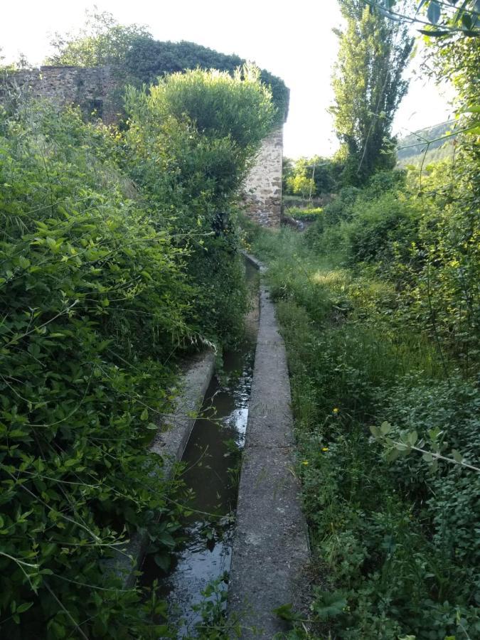 Pavies Casa De Amparo Y Jose Manuel旅馆 外观 照片
