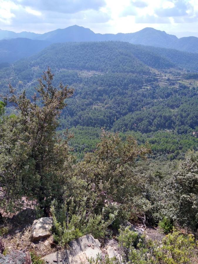 Pavies Casa De Amparo Y Jose Manuel旅馆 外观 照片