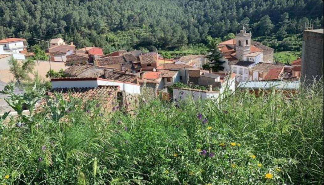 Pavies Casa De Amparo Y Jose Manuel旅馆 外观 照片
